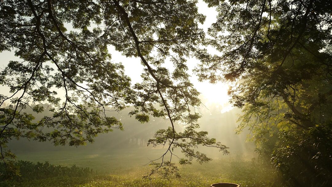 person meditating in serene landscape